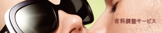 有料調整サービスとは
